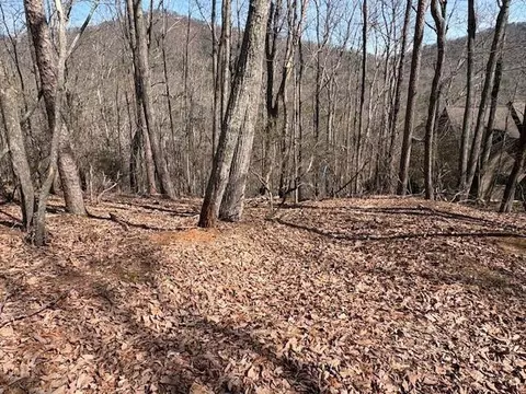 1150 Swallow Pt, Big Canoe, GA 30143