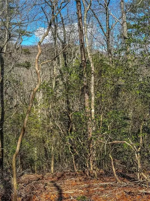 00 Ts Jarrard, Dahlonega, GA 30533