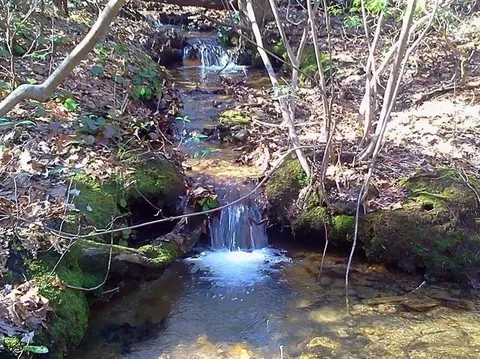 156 Cold Stream Trl, Jasper, GA 30143 photo 2