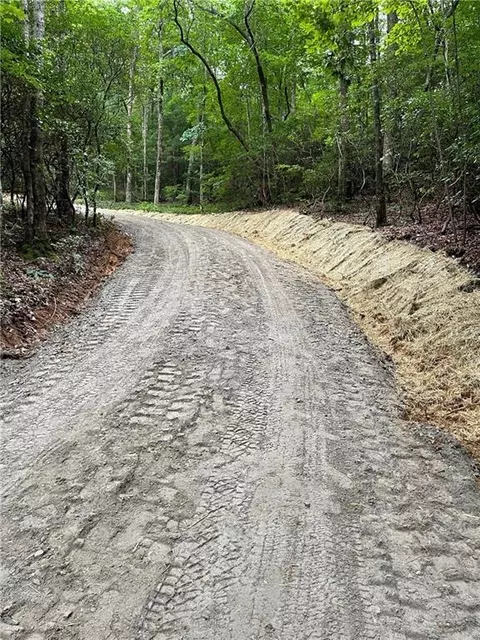 156 Cold Stream Trl, Jasper, GA 30143 photo 4