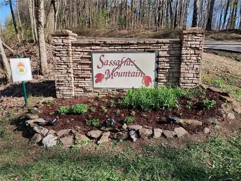 156 Cold Stream Trl, Jasper, GA 30143 photo 11