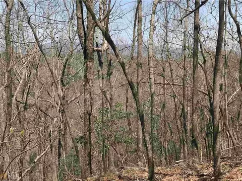 156 Cold Stream Trl, Jasper, GA 30143 photo 12