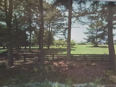 810 Nix Rd, Milton, GA 30004 photo 6