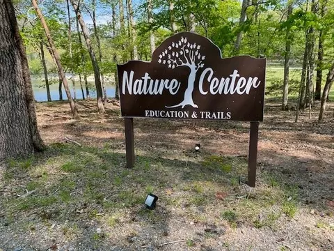 View/Area - 334 Lake View Trce, Jasper, GA 30143 photo 4 of 9