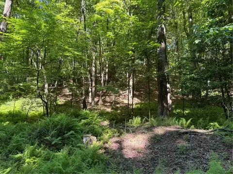 0 Walhalla Ct, Ellijay, GA 30540