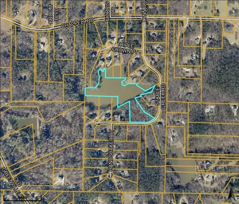 0 Btwn 165 205 Staple Creek Rd, Fayetteville, GA 30215