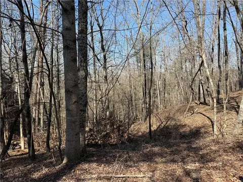 62 Miners Pl, Dahlonega, GA 30533