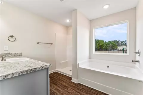 Bath - 11201 Cornerstone Way, Hampton, GA 30228 photo 2 of 5