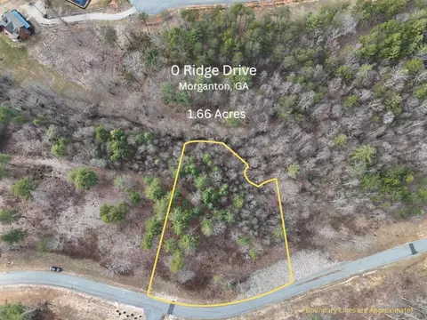 0 Ridge Dr, Morganton, GA 30560