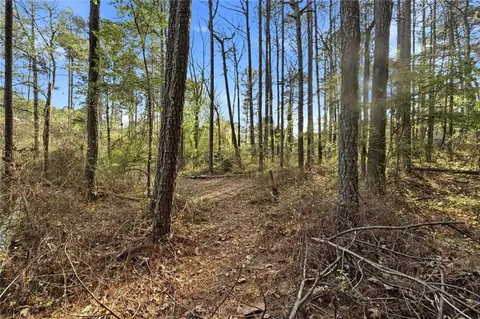 Other - 2452 Camp Mitchell Rd, Grayson, GA 30017 photo 15 of 15