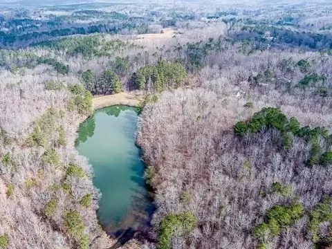 0 Williams Tract D Ln, Ball Ground, GA 30107