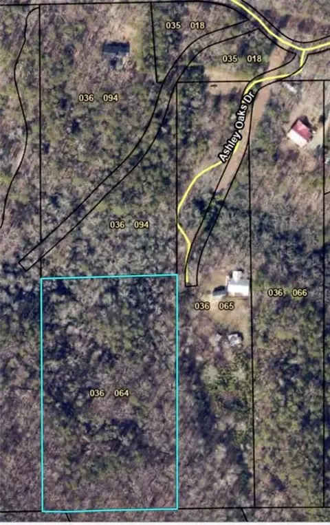 0 Ashley Oaks Dr, Dawsonville, GA 30534