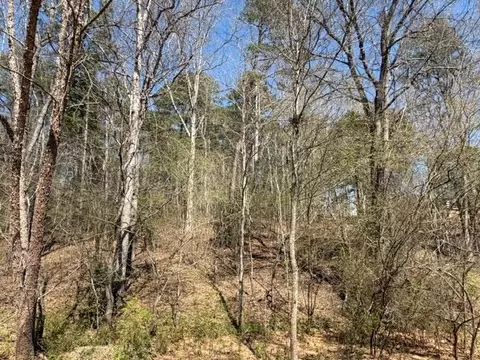lot0 Jack Pittman Rd, Dacula, GA 30019