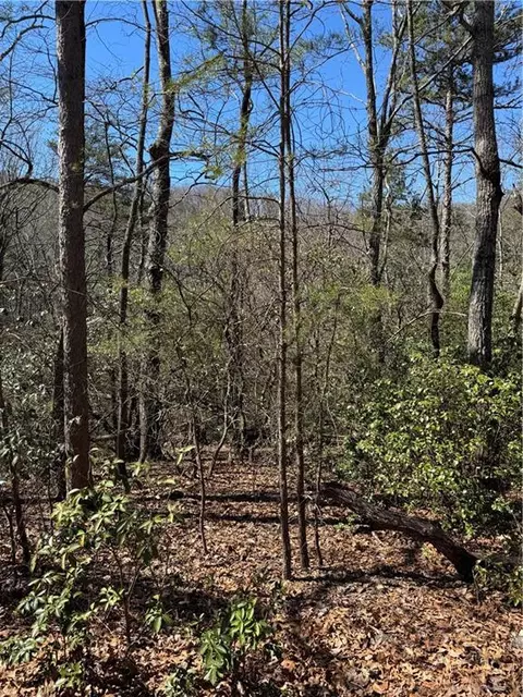5504 Red Fox Dr, Big Canoe, GA 30143