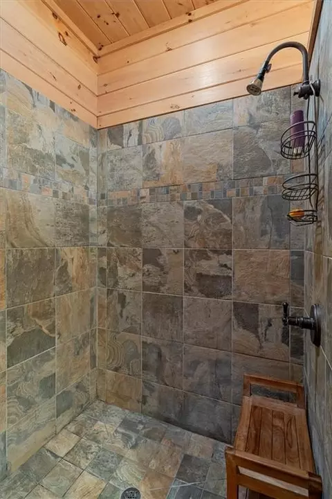 Bath - 881 Fox Mountain Rd, Cherry Log, GA 30522 photo 3 of 6