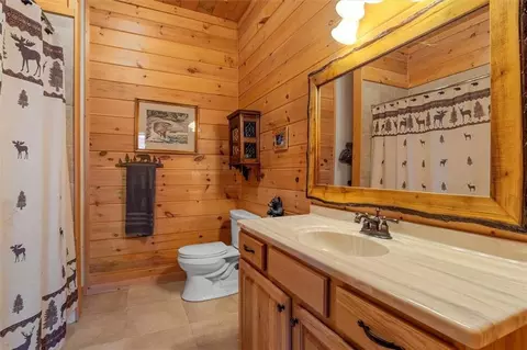Bath - 881 Fox Mountain Rd, Cherry Log, GA 30522 photo 6 of 6