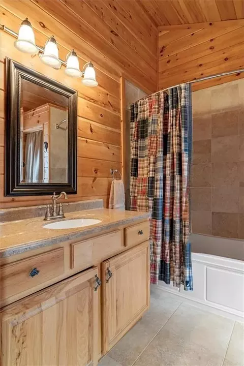 Bath - 881 Fox Mountain Rd, Cherry Log, GA 30522 photo 5 of 6