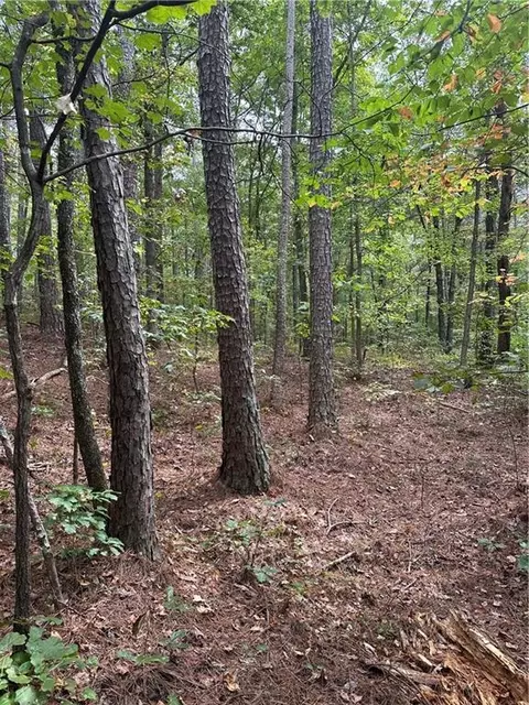 3826 Salacoa-tract C, Waleska, GA 30183