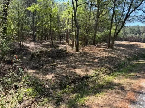 84 Popham Road Tract 1, Taylorsville, GA 30178