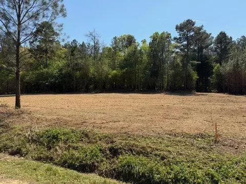 84 Popham Road Tract 2, Taylorsville, GA 30178