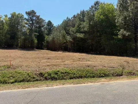 84 Popham Road Tract 3, Taylorsville, GA 30178