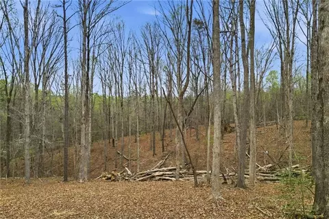 0 Carlan Rd, Jasper, GA 30143 photo 12