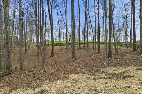 0 Carlan Rd, Jasper, GA 30143 photo 13