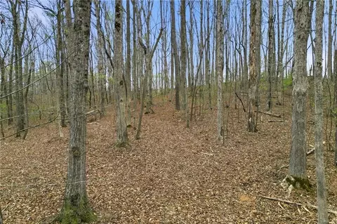 0 Carlan Rd, Jasper, GA 30143 photo 17