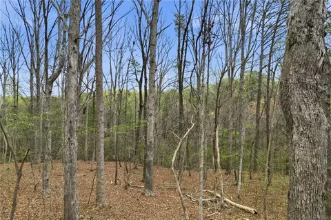 0 Carlan Rd, Jasper, GA 30143 photo 18