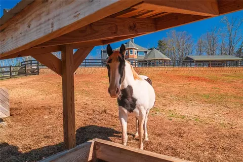 463 E Valley Rd NE, Rydal, GA 30171 photo 45
