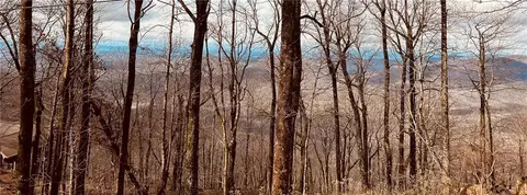 280 Big Stump Mountain Trl, Jasper, GA 30143
