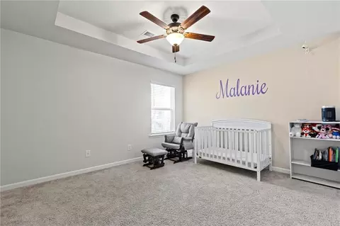 165 Tulip Dr, Covington, GA 30016 photo 29