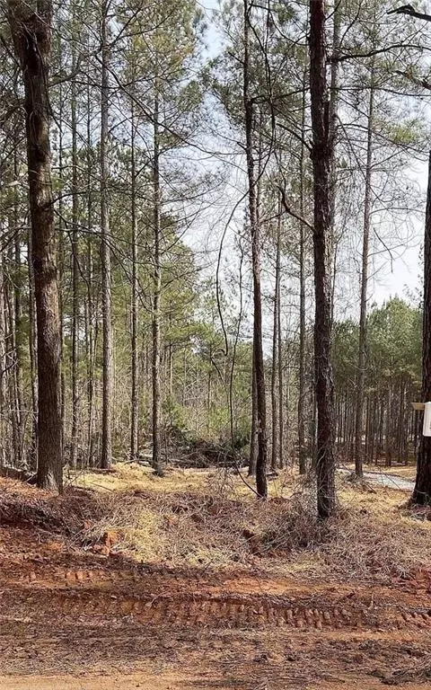 lot4 Jaxon Path, Dallas, GA 30157