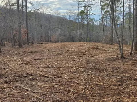 0000 Tippens Rd, Canton, GA 30114