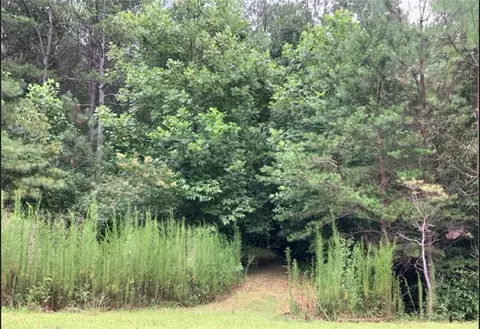 lot37 Eastside Dr, Ellijay, GA 30536