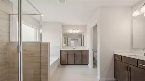 Bath - 1780 Goodwin Cir, Hampton, GA 30228 photo 2 of 4