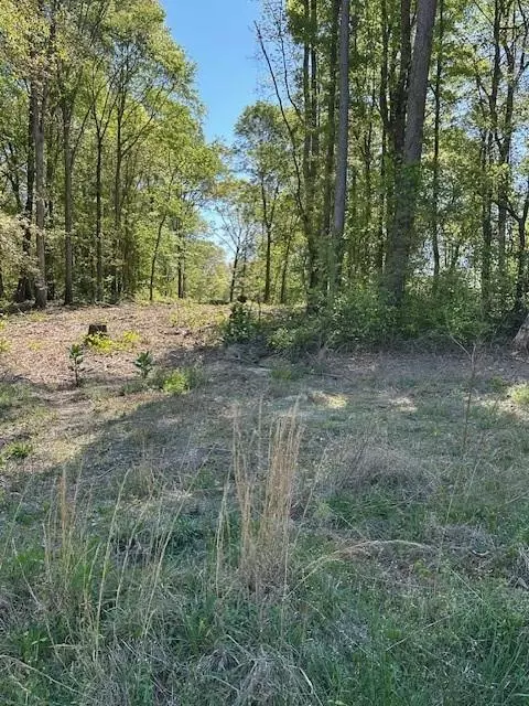 815 Aj Irvin Rd, Talmo, GA 30575 photo 7