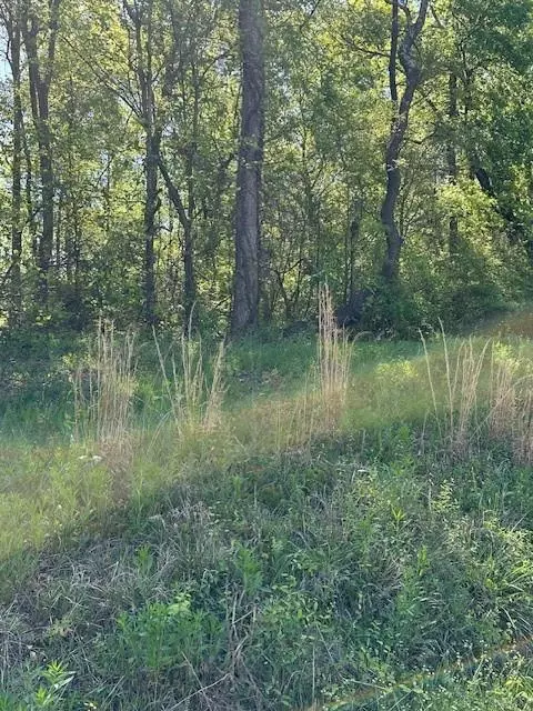 815 Aj Irvin Rd, Talmo, GA 30575 photo 5
