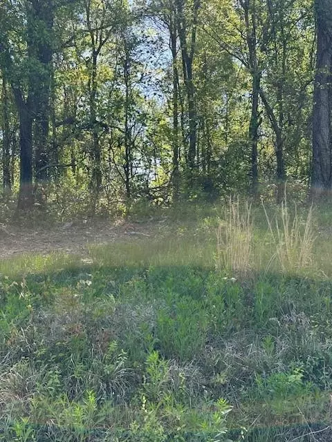 815 Aj Irvin Rd, Talmo, GA 30575 photo 6