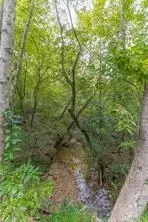 4033 Hidden Hollow Dr, Gainesville, GA 30506