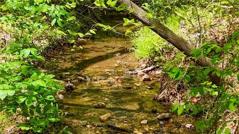 X Kelly Bridge Road, Dawsonville, GA 30534