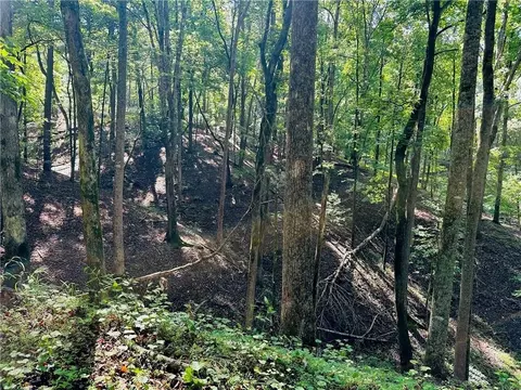 7 123 Acres Halls Mill Rd, Dahlonega, GA 30533