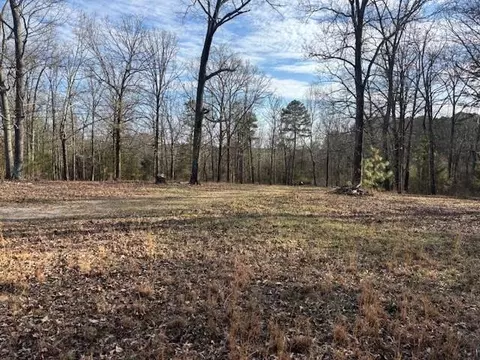 37 Davis Loop, Kingston, GA 30145 photo 5