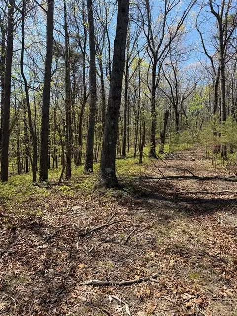 161 Sharp Mountain Pkwy, Jasper, GA 30143 photo 7