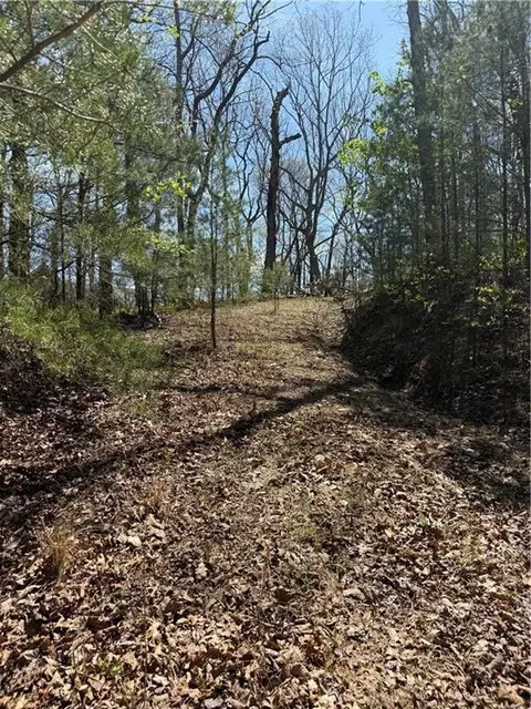 161 Sharp Mountain Pkwy, Jasper, GA 30143 photo 6