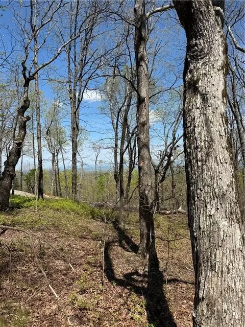 161 Sharp Mountain Pkwy, Jasper, GA 30143 photo 3