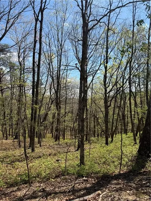 161 Sharp Mountain Pkwy, Jasper, GA 30143 photo 8