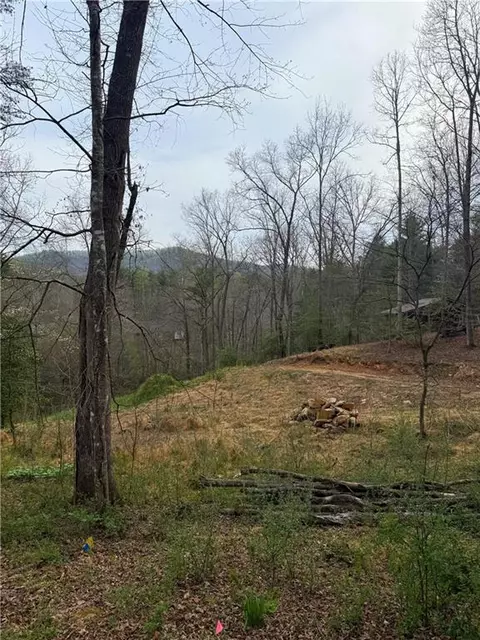 0 Holly Dr, Blairsville, GA 30512