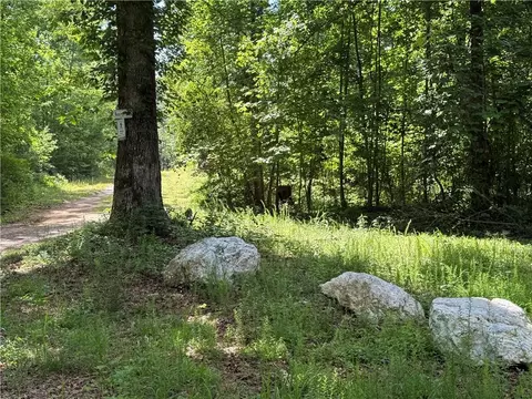 20 Ac Ellijay Rd, Talking Rock, GA 30175