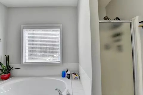 Bath - 1555 Lower River Rd, Covington, GA 30016 photo 2 of 4